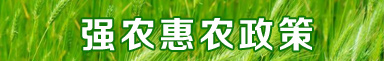 ǿũũ